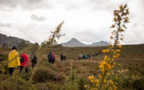 Festival de Caminhadas Gerês