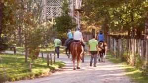 Operador Turistico Israel Gerês