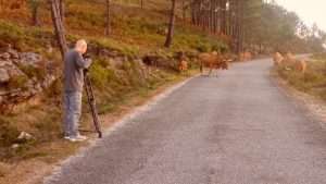Gerês