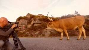 Gerês