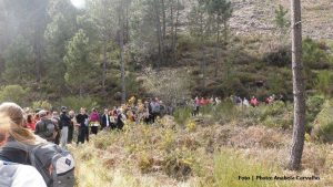Festival Caminhadas 2015 Gerês
