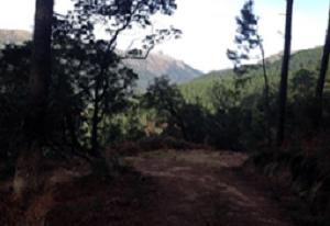 Gerês