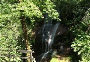 Preguiça Gerês