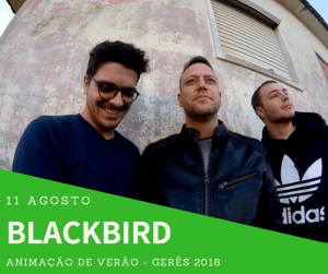 BLACKBIRD Gerês