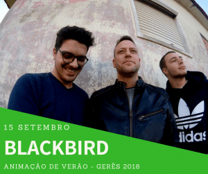 BLACKBIRD Gerês
