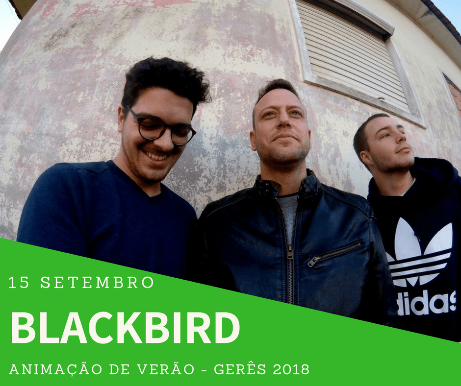 BLACKBIRD Gerês